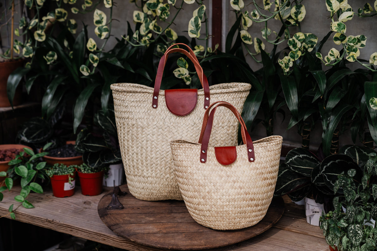 The Palma Collection